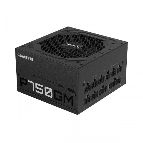 Gigabyte P750GM 750W 80 Plus Gold Certified Fully-Modular Desktop Power Supply